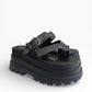 Baru black